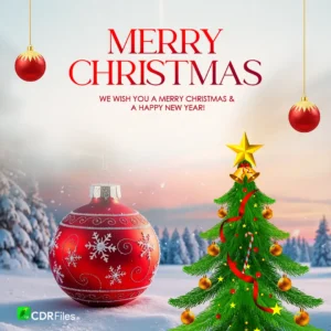 Merry Christmas post